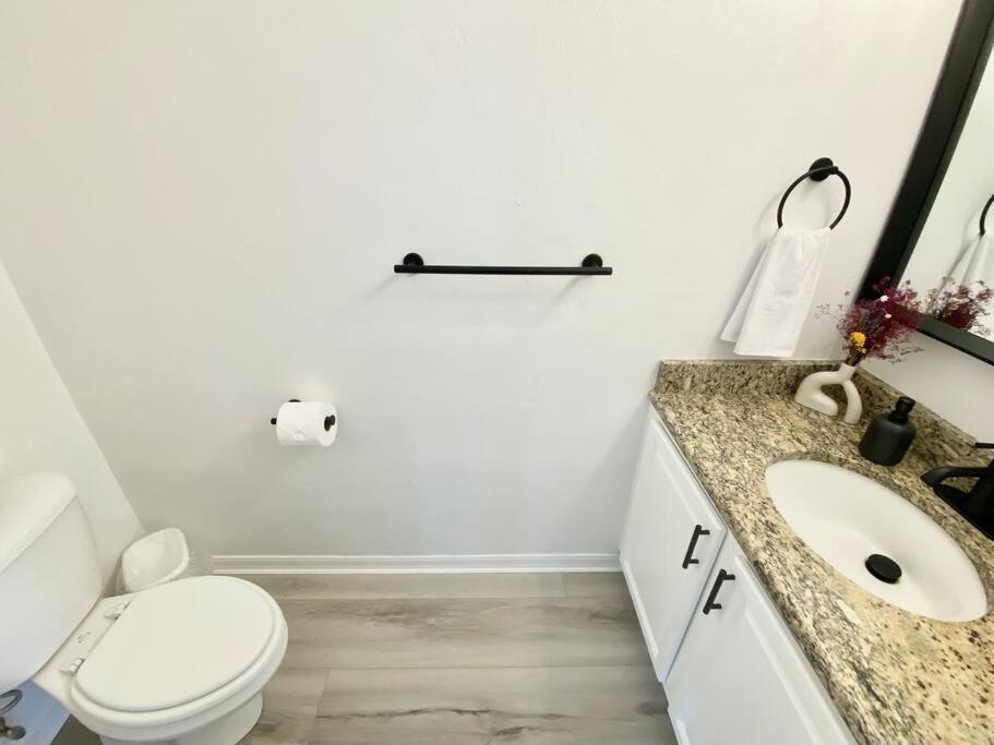 Sanctuary Gainesville Bright 2 Bedroom King Condo Eksteriør billede